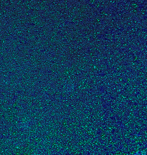 Load image into Gallery viewer, PREORDER: PIXIE DUST GLITTER VINYL