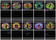 Load image into Gallery viewer, PREORDER: VILLAIN LIGHT SHOW SCENE PANELS (Child)