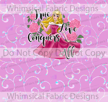 Load image into Gallery viewer, PREORDER: Empowering Princess: CHILD PANEL