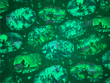 Load image into Gallery viewer, PREORDER: CUSTOM GLOW IN THE DARK VINYL