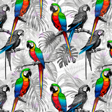 Load image into Gallery viewer, RETAIL: PARROT PRISMATICS

