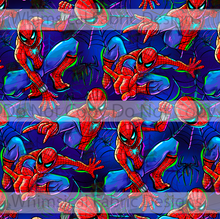 Load image into Gallery viewer, PREORDER: SPIDER MAN
