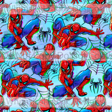 Load image into Gallery viewer, PREORDER: SPIDER MAN
