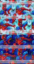 Load image into Gallery viewer, PREORDER: SPIDER MAN
