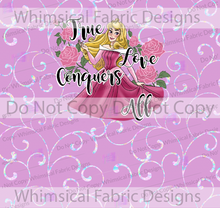 Load image into Gallery viewer, RETAIL: Empowering Princess Panels (Adult &amp; Child)
